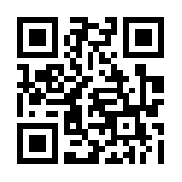 幽游白书武术会破解版