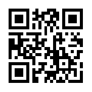 最佳11人破解版