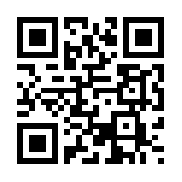 勇士之轮无限版