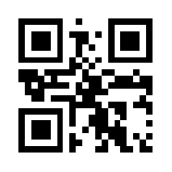 战国美人单机版