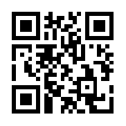 99块砖：巫师学院