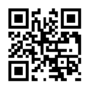 方块小猪大作战