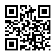 愤怒的小鸟时空之旅